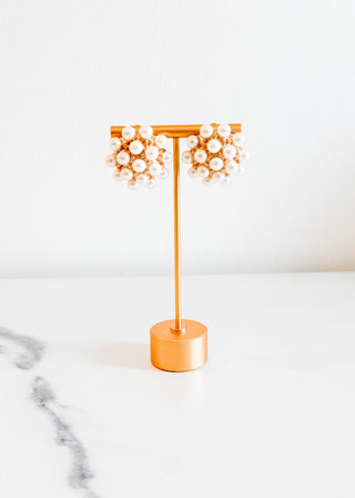 Effortless Shine Earrings