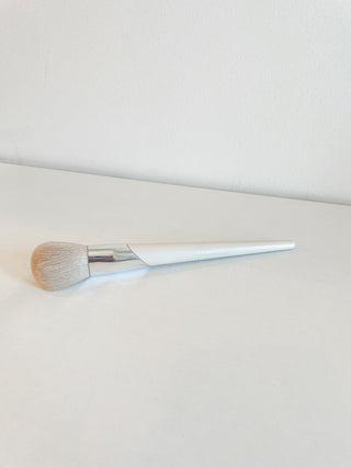 Blush and Powder Brush